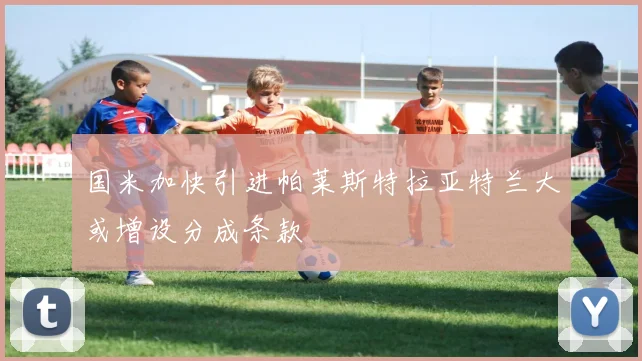 国米加快引进帕莱斯特拉亚特兰大或增设分成条款